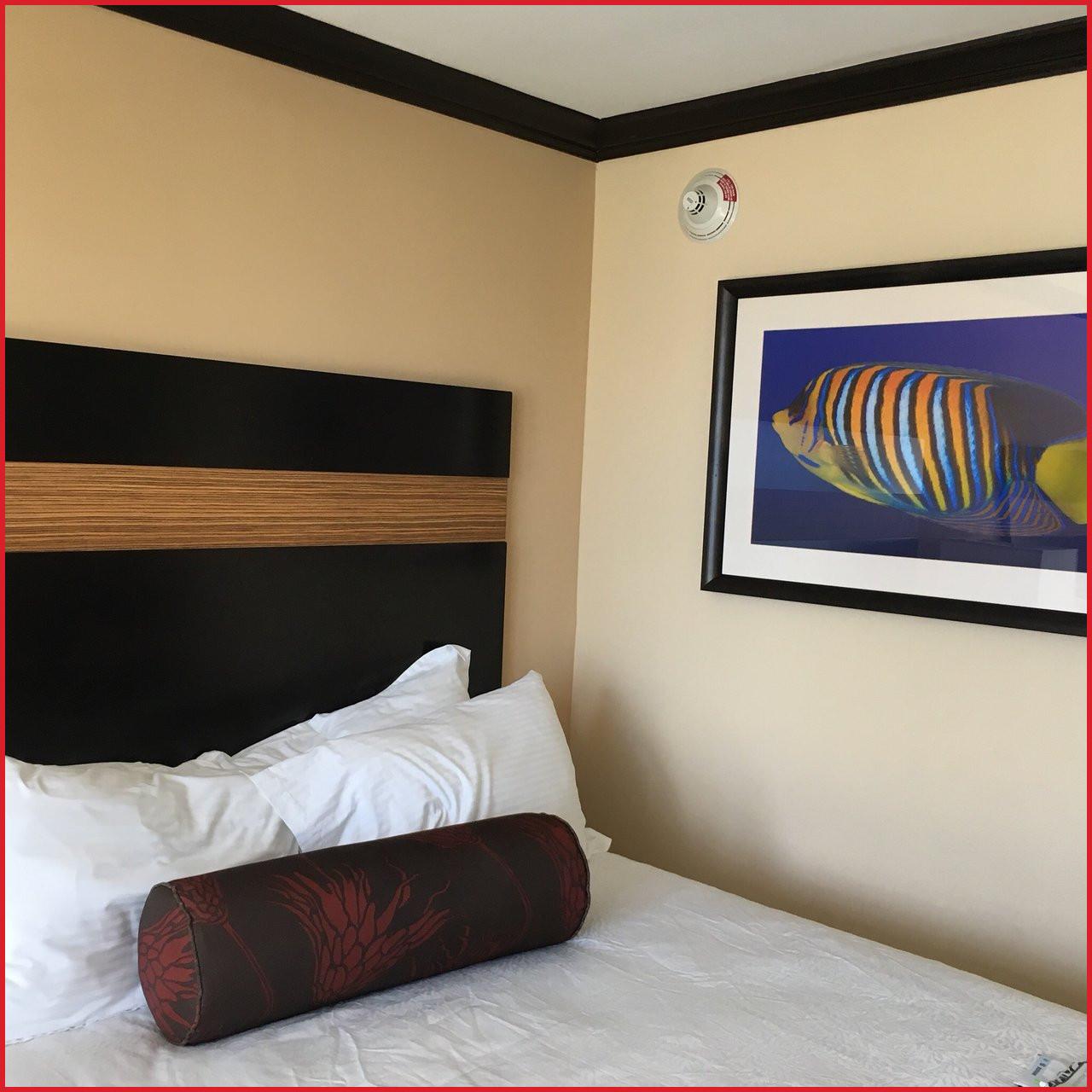 Grand Palms Spa & Golf Resort Pembroke Pines Esterno foto